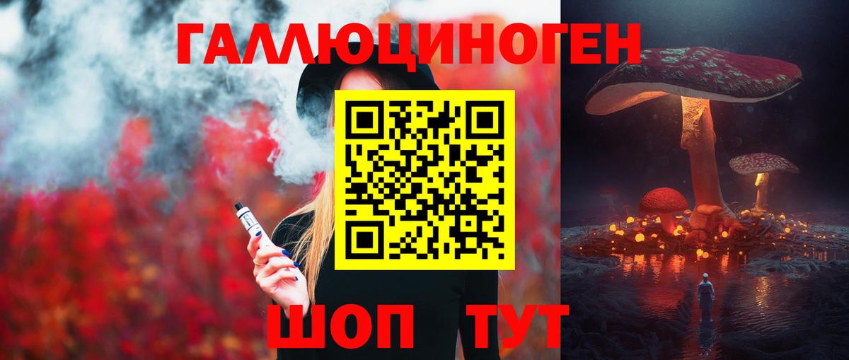 Ессентуки  Псилоцибиновые грибы MAGIC MUSHROOMS  Вход с VPN 