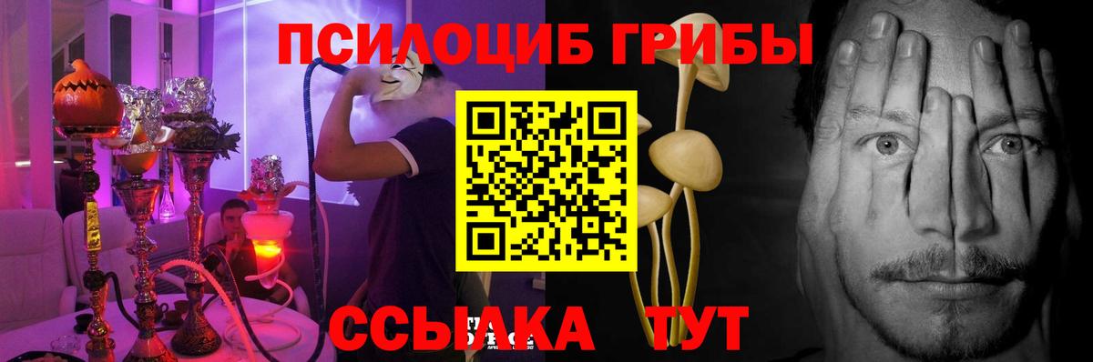 Галлюциногенные грибы прущие грибы Ессентуки
